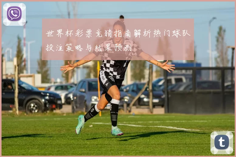 世界杯彩票竞猜指南解析热门球队投注策略与结果预测
