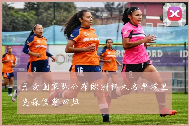 丹麦国家队公布欧洲杯大名单埃里克森伤愈回归