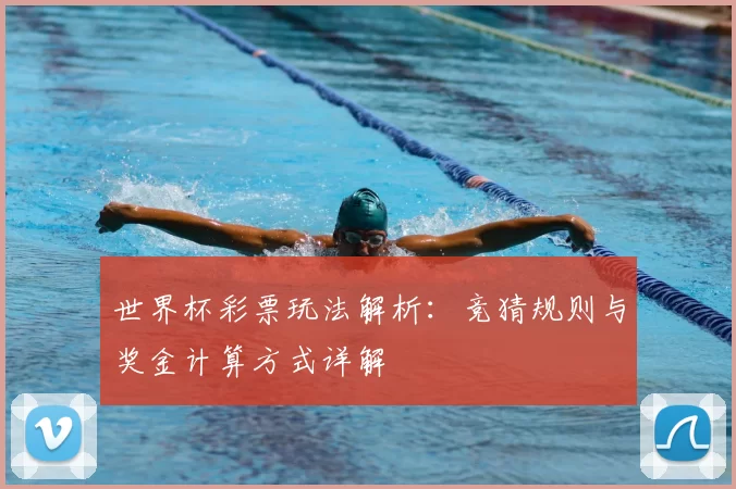 世界杯彩票玩法解析：竞猜规则与奖金计算方式详解