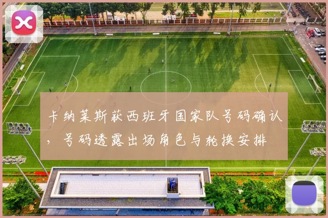 卡纳莱斯获西班牙国家队号码确认，号码透露出场角色与轮换安排