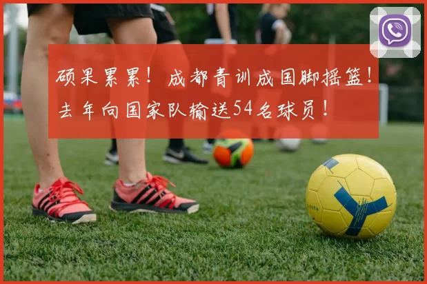 硕果累累！成都青训成国脚摇篮！去年向国家队输送54名球员！