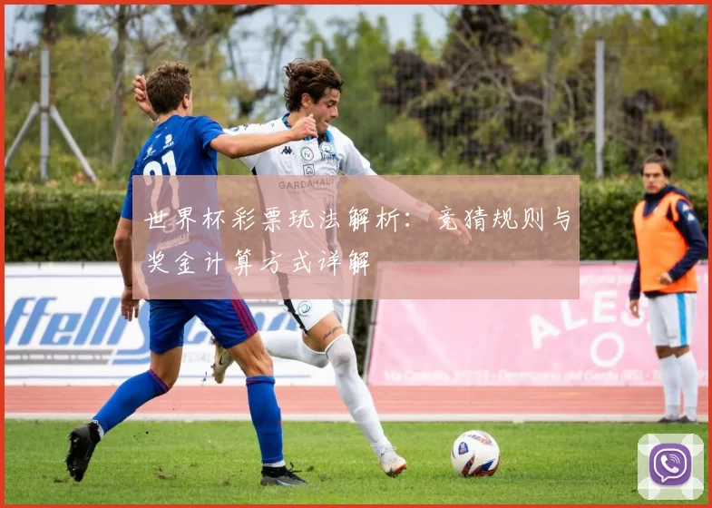 世界杯彩票玩法解析：竞猜规则与奖金计算方式详解