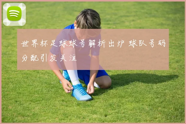 世界杯足球球号解析出炉 球队号码分配引发关注