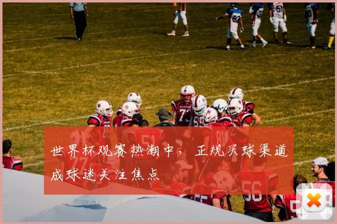 世界杯观赛热潮中，正规买球渠道成球迷关注焦点